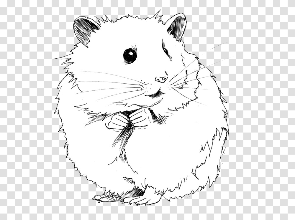 Jerbo Dibujo H Mster Hamster Black And White Clipart, Mammal, Animal, Bird, Pet Transparent Png