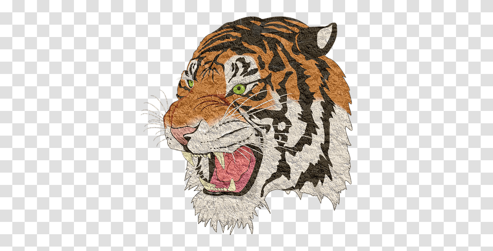 Jerome High School Tiger, Wildlife, Animal, Mammal, Rug Transparent Png