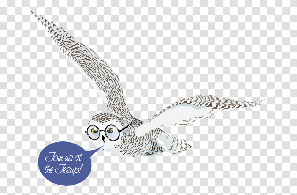 Jesup Memorial Library Purple, Bird, Animal, Owl, Beak Transparent Png