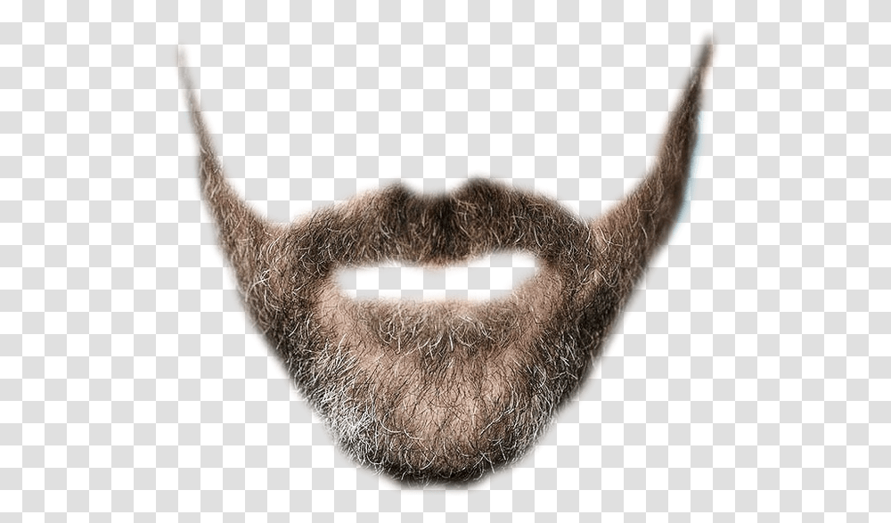 Jesus Beard Realistic Mustache Background, Face, Mouth, Lip Transparent Png