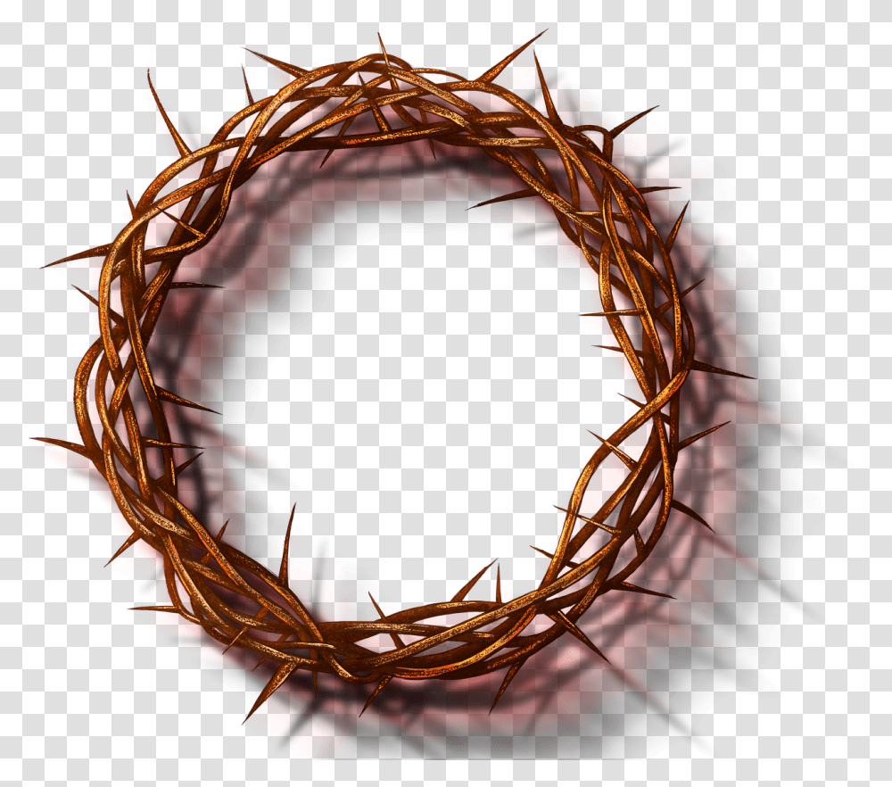 Jesus Crown Thorns Of Free Image On Pixabay Twig, Sphere, Coil, Spiral, Pattern Transparent Png