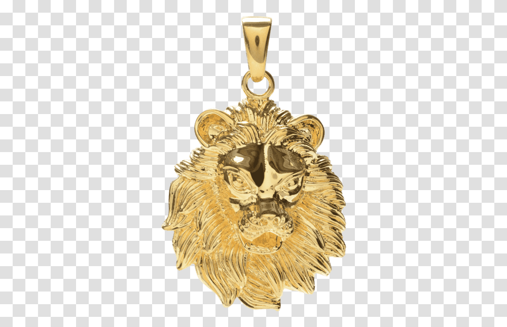 Jesus Piece, Gold, Jaw, Fossil, Ivory Transparent Png