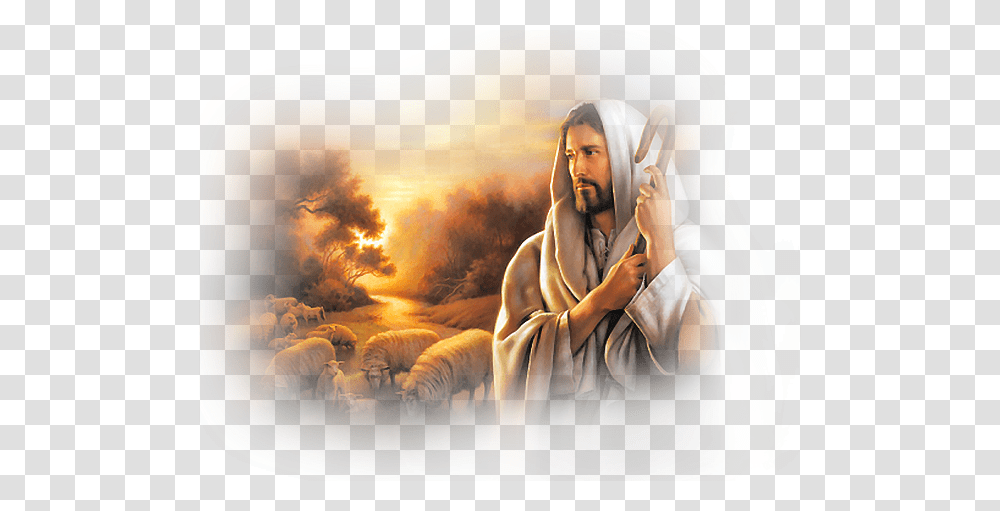 Jesus, Religion, Person, Human, Sheep Transparent Png