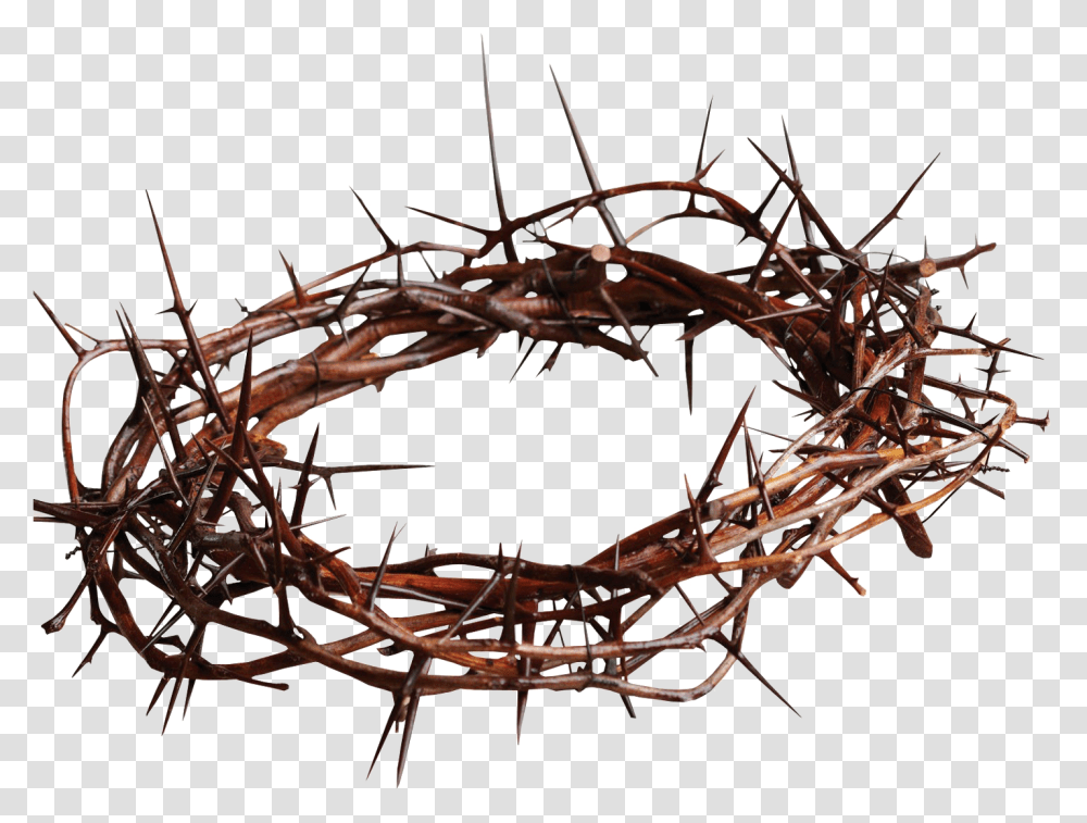 Jesus With Crown Of Thorns Christian Cross Gospel Spines Crown Of Thorns, Bow, Animal, Sphere, Spider Web Transparent Png