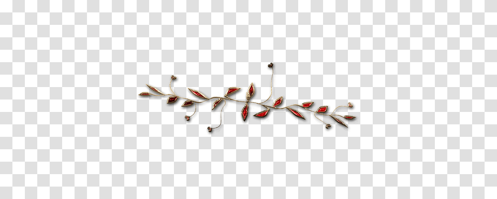 Jewelry Plant, Flower, Acanthaceae, Bud Transparent Png