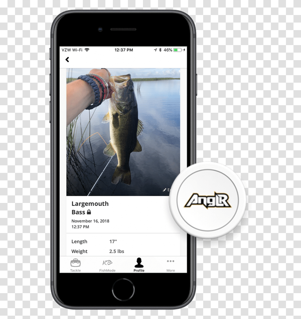 Jigging, Fish, Animal, Mobile Phone, Electronics Transparent Png