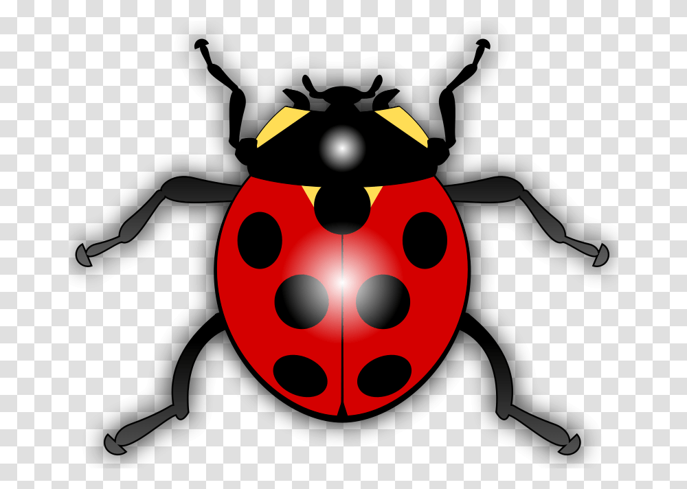 Jilagan Ladybug, Animals, Black Widow Transparent Png