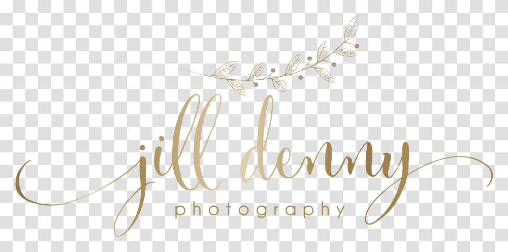 Jill Denny Wedding Family Photographer Calligraphy, Handwriting, Plant, Letter Transparent Png