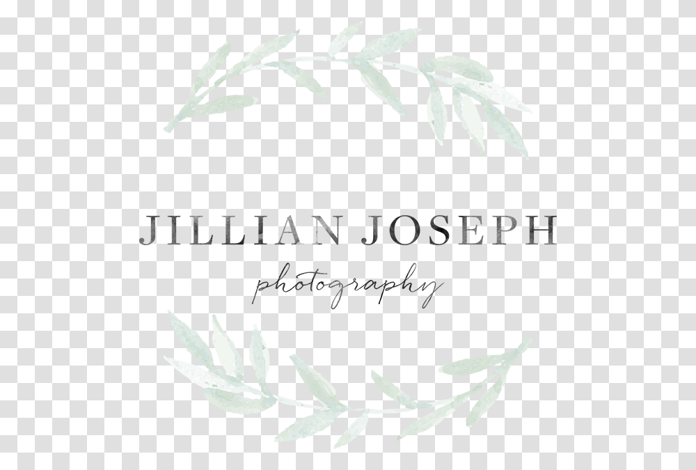 Jillianjosephphotography Logo Calligraphy, Nature, Outdoors, Mountain, Ice Transparent Png