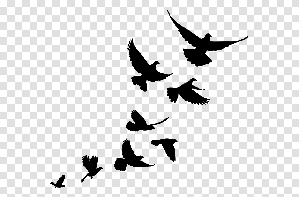 Jiminey Kricket Exterminating Pigeons Flying Bird Flock Silhouette, Tree Transparent Png