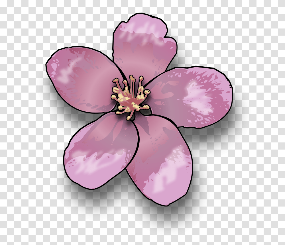 Jimmiet Apple Blossom, Nature, Plant, Flower, Petal Transparent Png