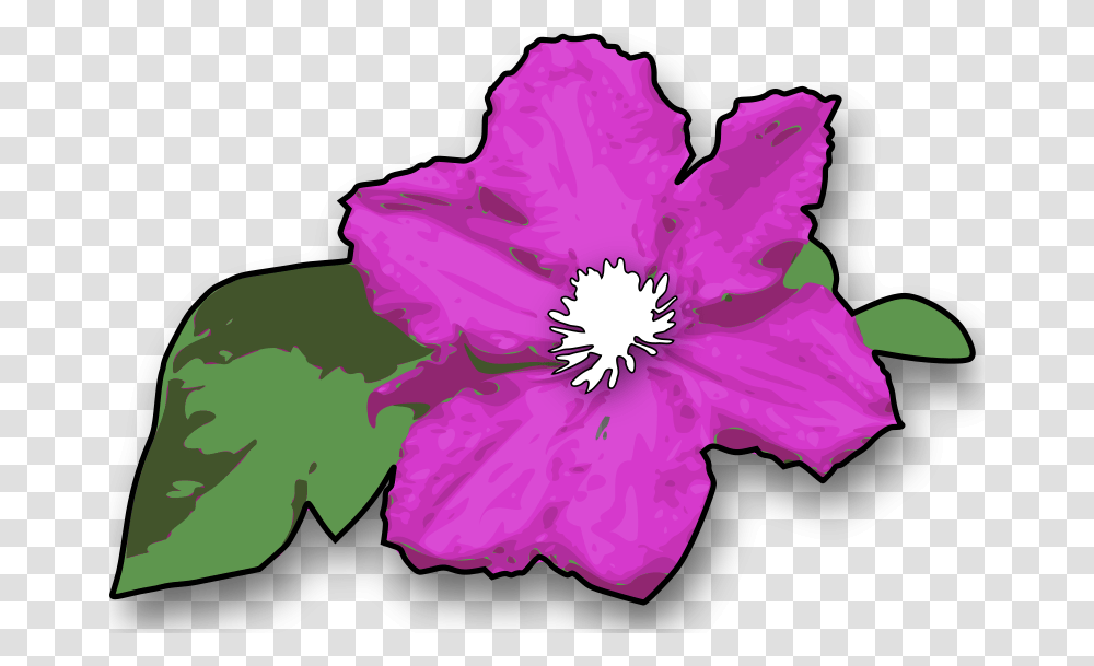 Jimmiet, Nature, Plant, Hibiscus, Flower Transparent Png