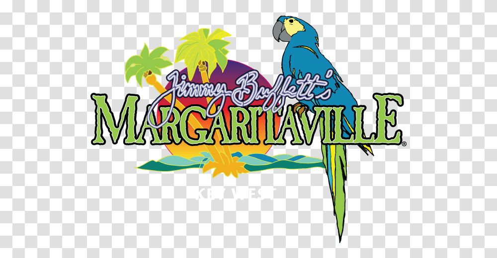 Jimmy In Key West Jimmy Buffett Margaritaville Key West, Animal, Bird, Crowd, Vacation Transparent Png