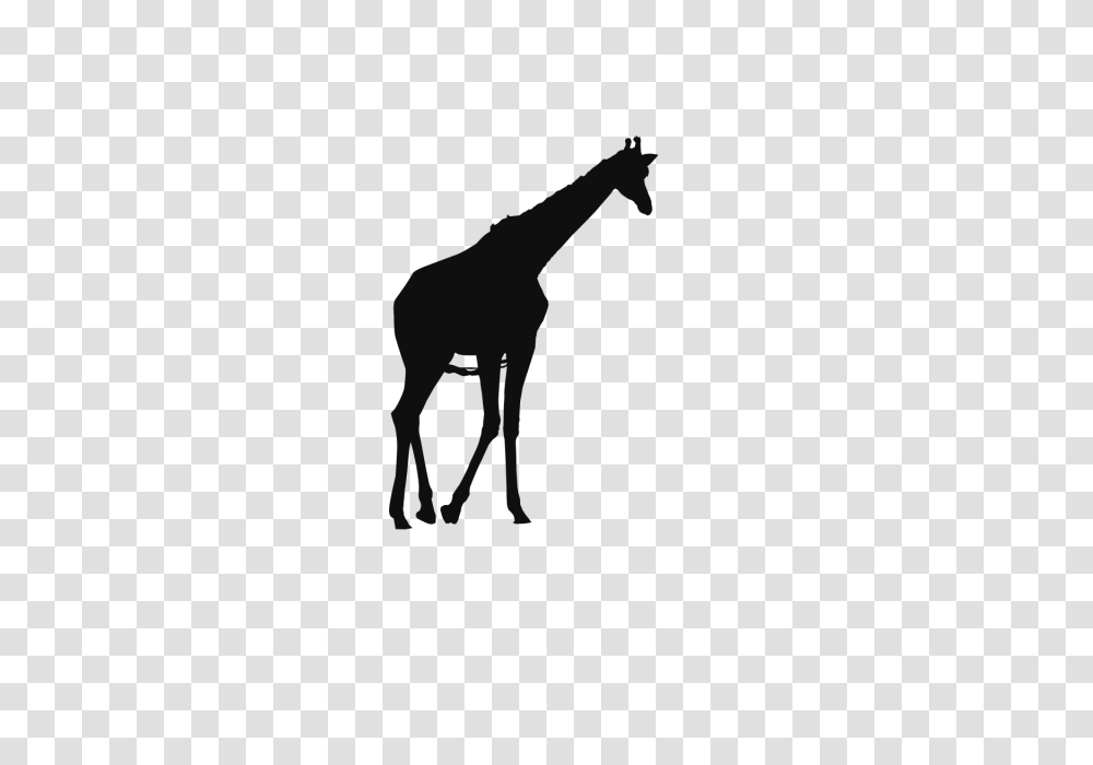 Jirafa Animales Salvajes Clip Art Background Jirafa Corte De Papel, Mammal, Giraffe, Wildlife, Horse Transparent Png