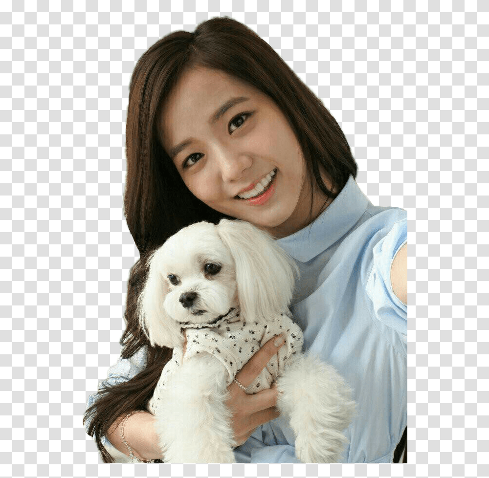 Jisoo Blackpink With Dog, Person, Puppy, Pet, Canine Transparent Png