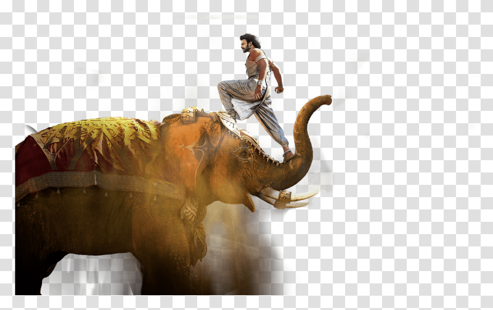 Jiyo Re Bahubali Song Download, Person, Elephant, Mammal, Animal Transparent Png