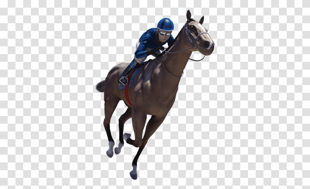 Jockey Horse, Equestrian, Person, Mammal, Animal Transparent Png