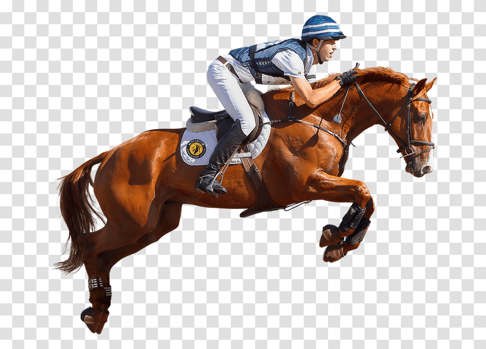 Jockey On Horse, Mammal, Animal, Person, Human Transparent Png