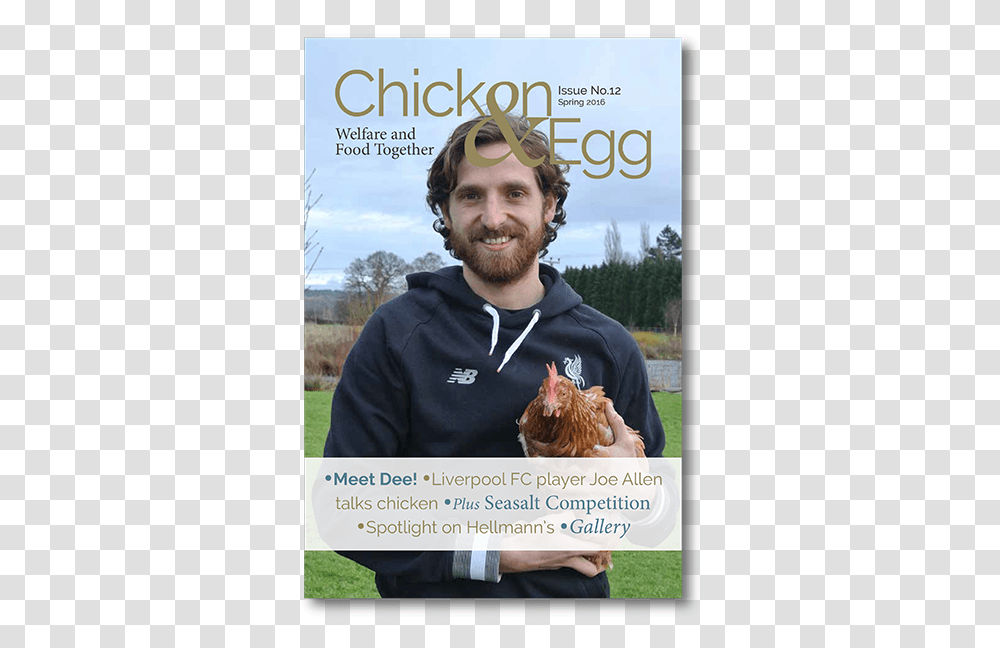 Joe Allen Chicken, Advertisement, Poster, Flyer, Paper Transparent Png