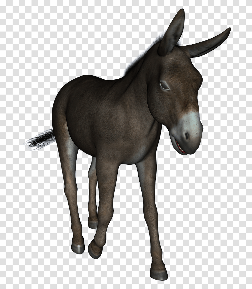 Jogo Do Bicho Burro, Horse, Mammal, Animal, Antelope Transparent Png