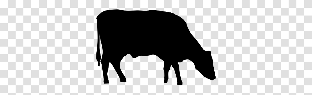 John Dee Beef Steer Flap, Gray, World Of Warcraft Transparent Png