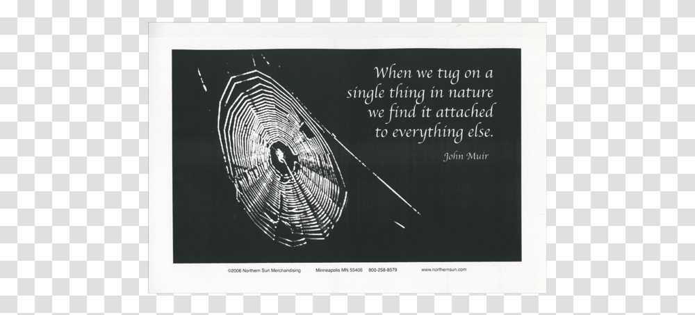 John Muir Poster John Muir Love Quotes, Spider Web Transparent Png