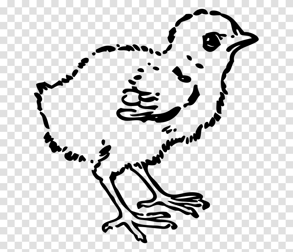 Johnny Automatic Baby Chick, Animals, Nature, Outdoors, Outer Space Transparent Png