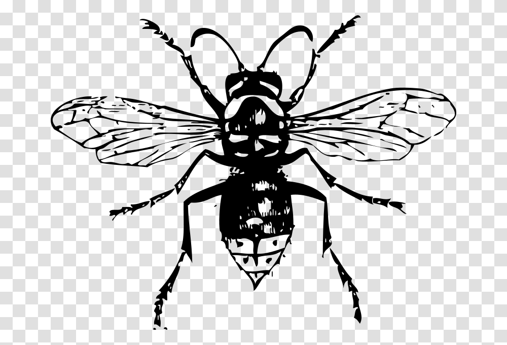 Johnny Automatic Bald Faced Hornet, Animals, Gray, World Of Warcraft Transparent Png