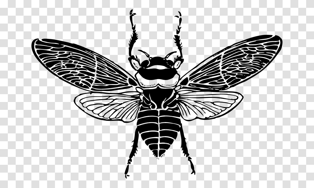 Johnny Automatic Bee Top View, Animals, Gray, World Of Warcraft Transparent Png