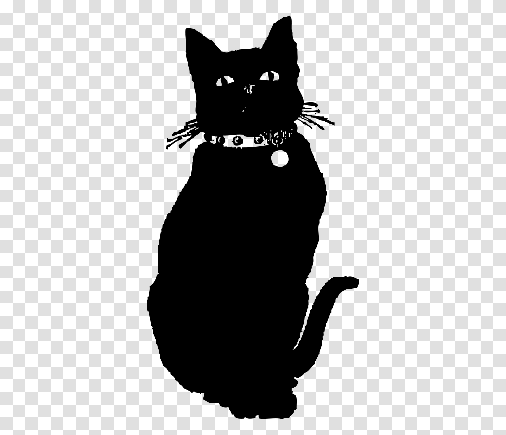 Johnny Automatic Black Cat, Animals, Gray, World Of Warcraft Transparent Png