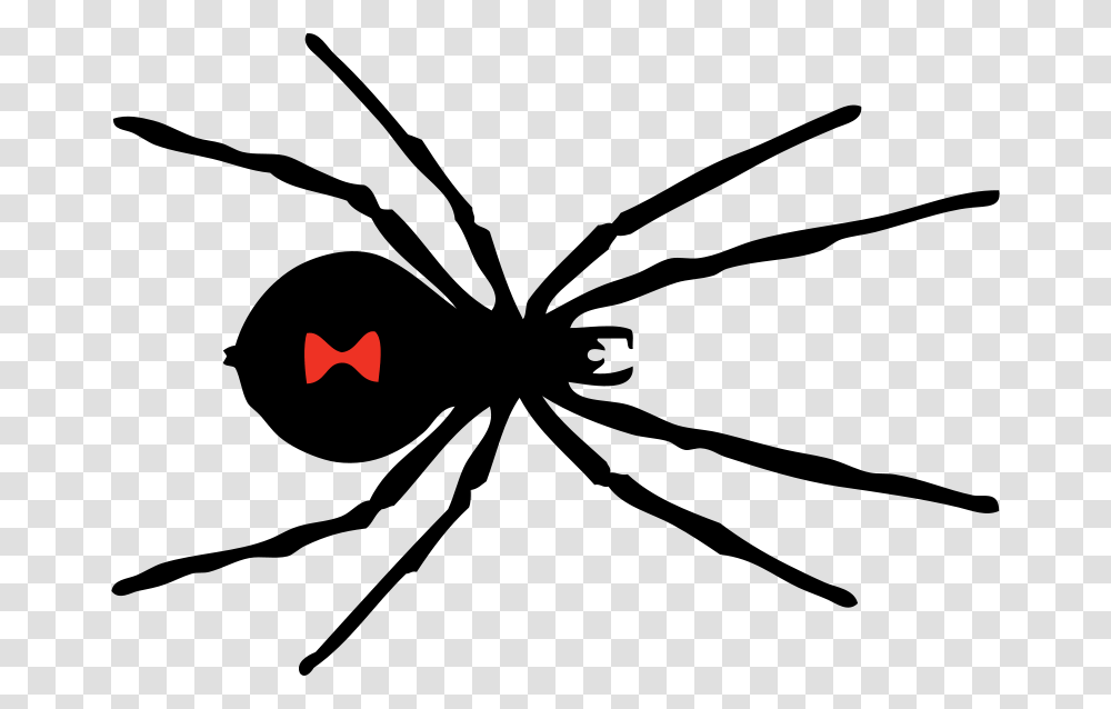 Johnny Automatic Black Widow Spider, Animals, Logo, Trademark Transparent Png