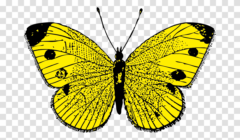 Johnny Automatic Butterfly, Animals, Insect, Invertebrate, Monarch Transparent Png
