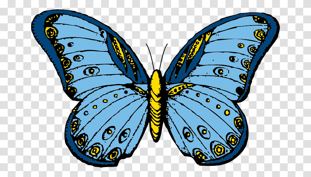 Johnny Automatic Butterfly, Animals, Pattern, Ornament Transparent Png