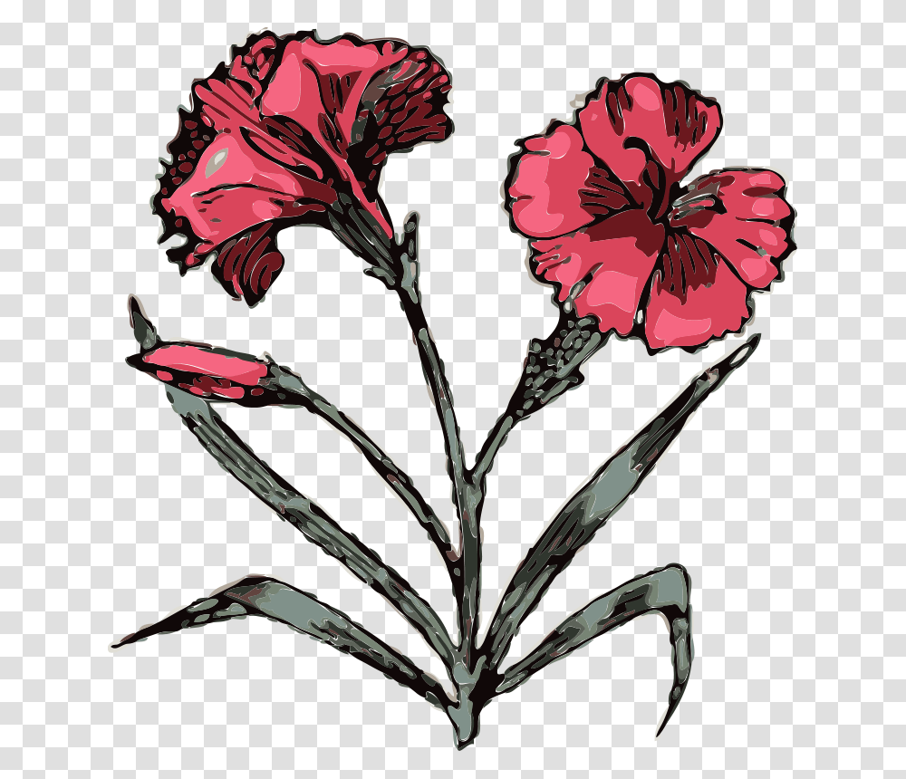 Johnny Automatic Carnation, Nature, Plant, Flower, Blossom Transparent Png