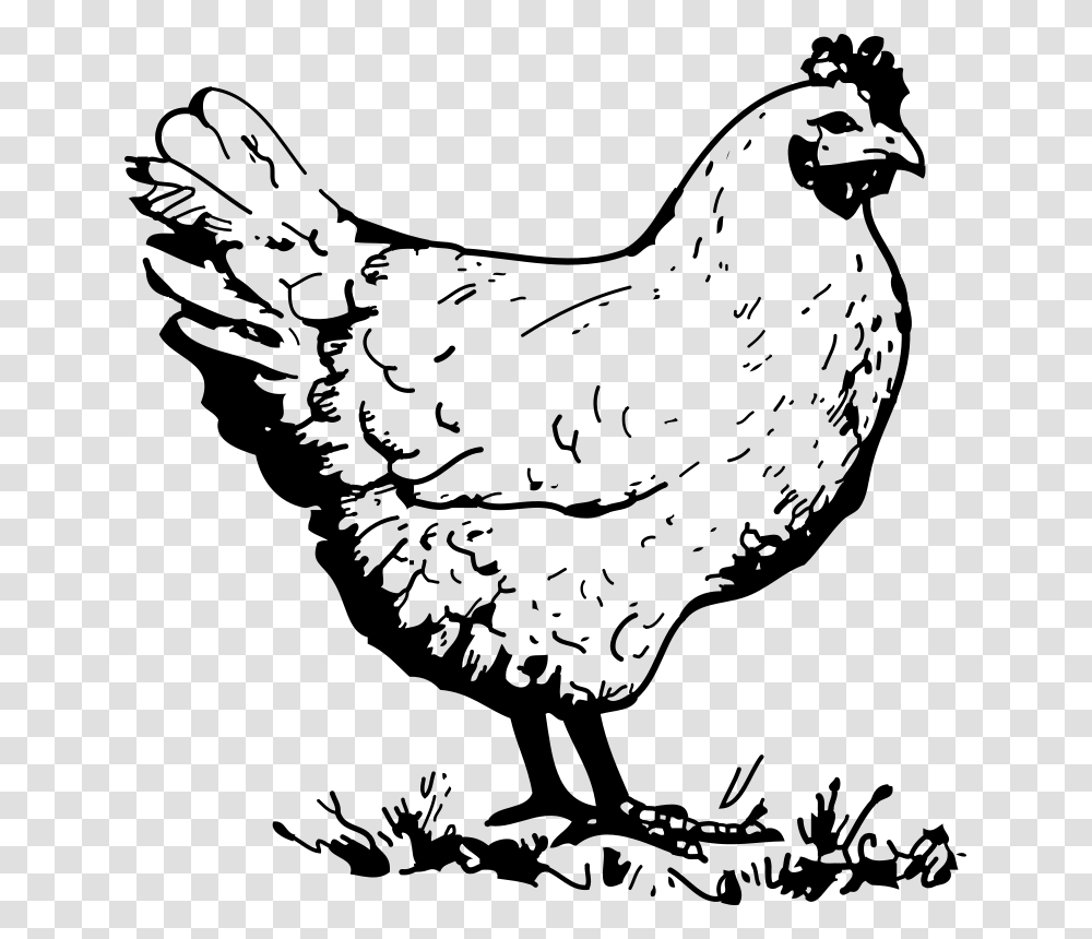 Johnny Automatic Chicken, Animals, Gray, World Of Warcraft Transparent Png
