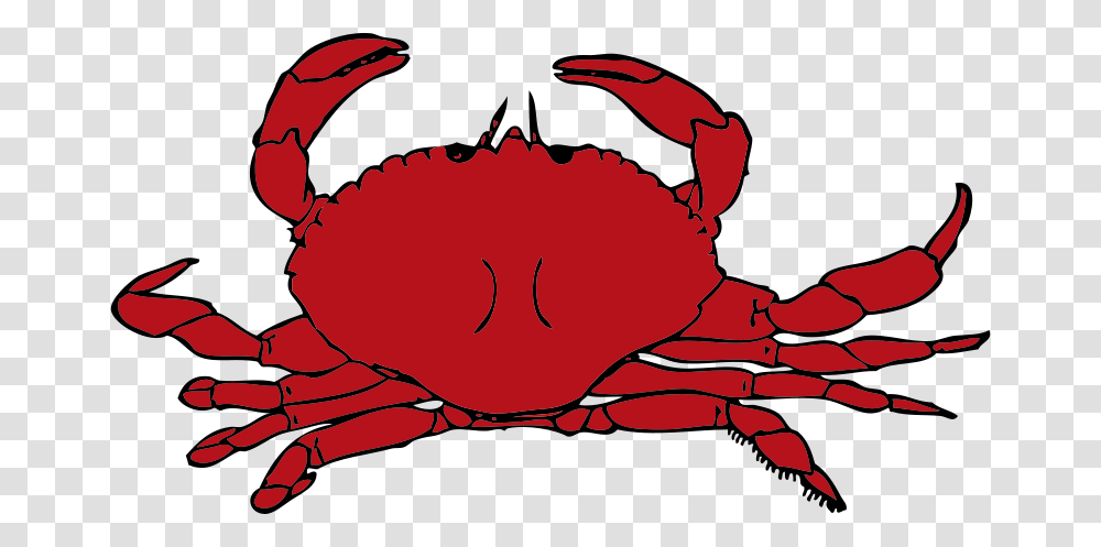 Johnny Automatic Crab, Animals, Seafood, Sea Life, Person Transparent Png