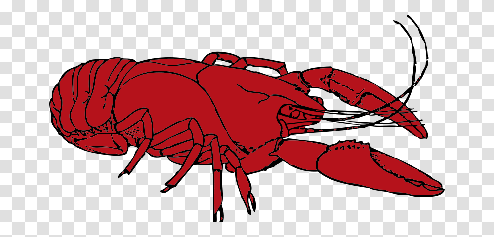 Johnny Automatic Crayfish, Animals, Sea Life, Insect, Invertebrate Transparent Png