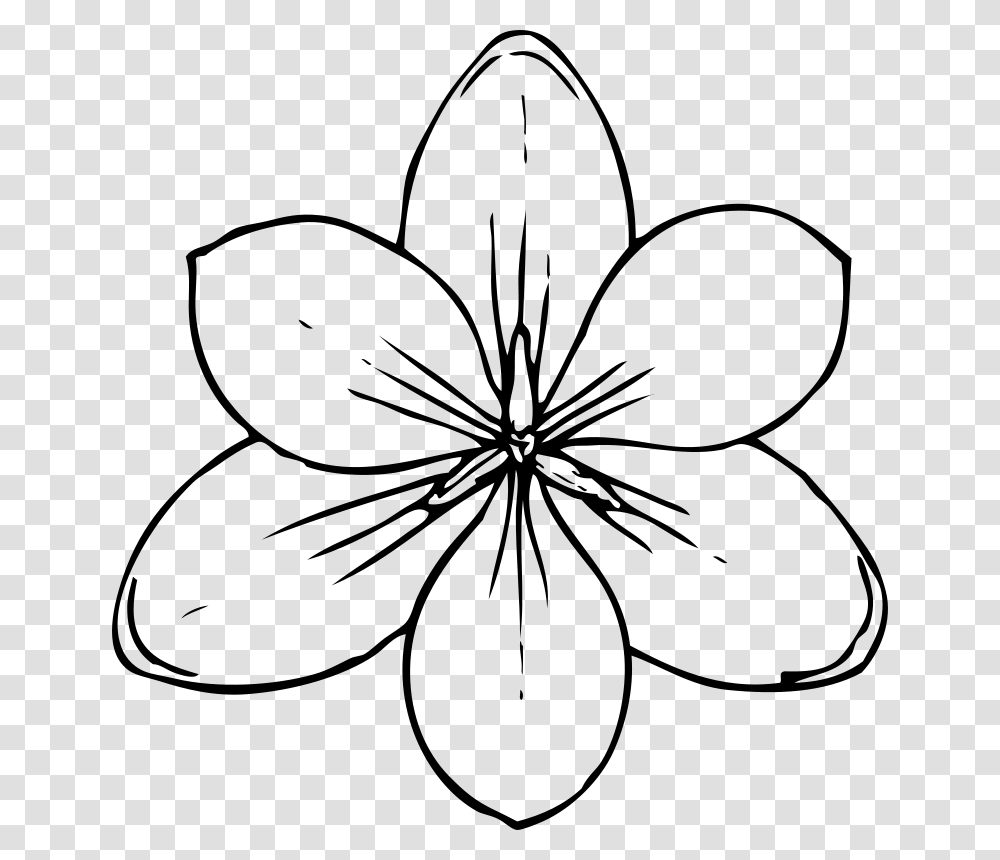 Johnny Automatic Crocus Flower Top View, Nature, Gray, World Of Warcraft Transparent Png