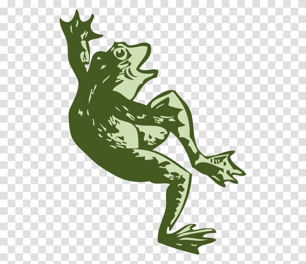 Johnny Automatic Dancing Frog, Animals, Wildlife, Amphibian Transparent Png