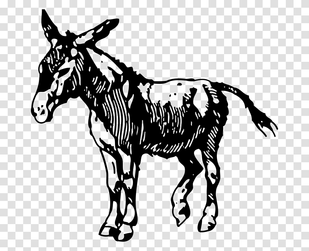 Johnny Automatic Donkey, Animals, Gray, World Of Warcraft Transparent Png