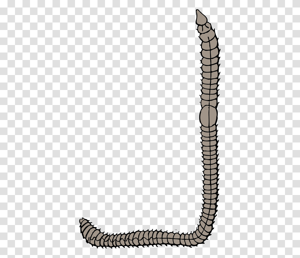 Johnny Automatic Earthworm, Animals, Tool, Rug, Weapon Transparent Png