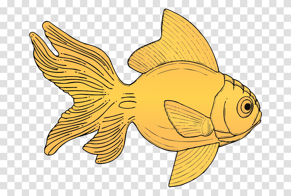 Johnny Automatic Fish, Animals, Goldfish, Bird Transparent Png