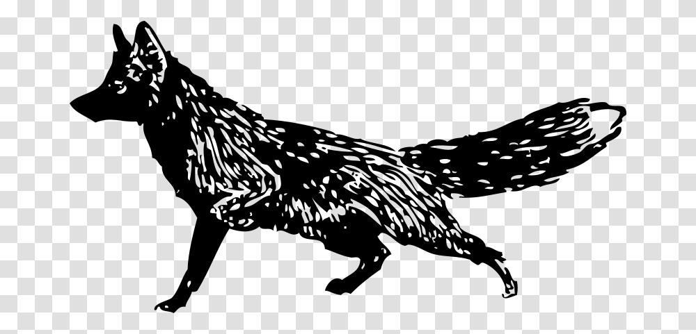 Johnny Automatic Fox, Animals, Gray, World Of Warcraft Transparent Png
