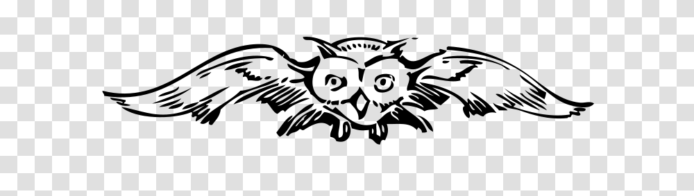 Johnny Automatic Front View Owl, Animals, Gray, World Of Warcraft Transparent Png