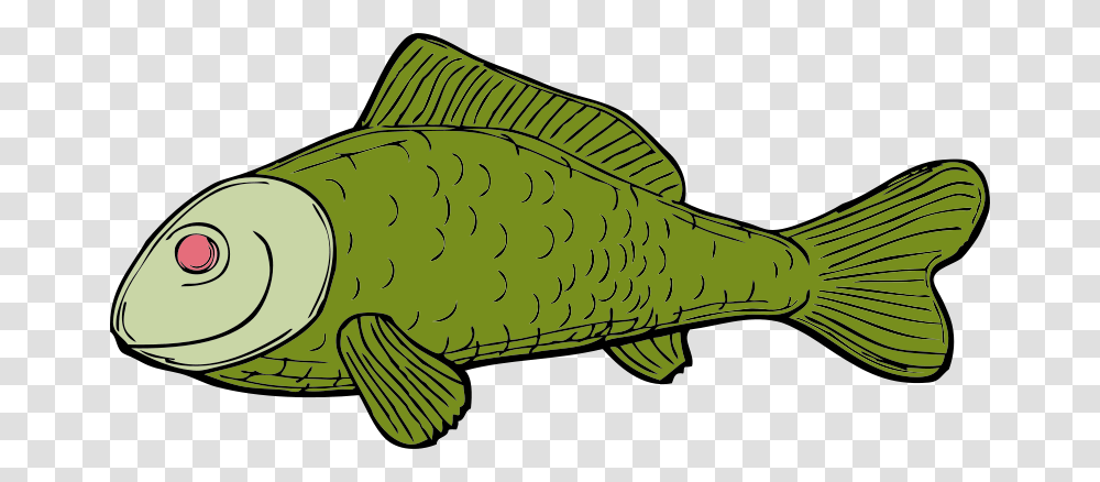 Johnny Automatic Green Fish, Animals, Reptile, Cod, Aquatic Transparent Png