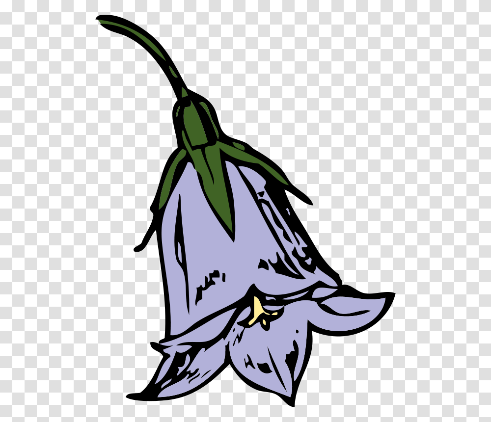 Johnny Automatic Harebell, Nature, Animal, Insect, Invertebrate Transparent Png