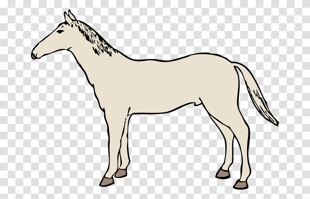 Johnny Automatic Horse, Animals, Mammal, Foal, Colt Horse Transparent Png