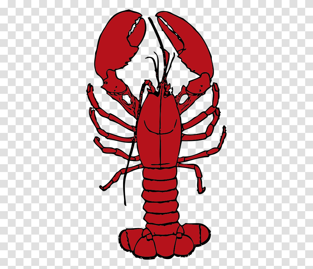 Johnny Automatic Lobster, Animals, Seafood, Sea Life, Person Transparent Png