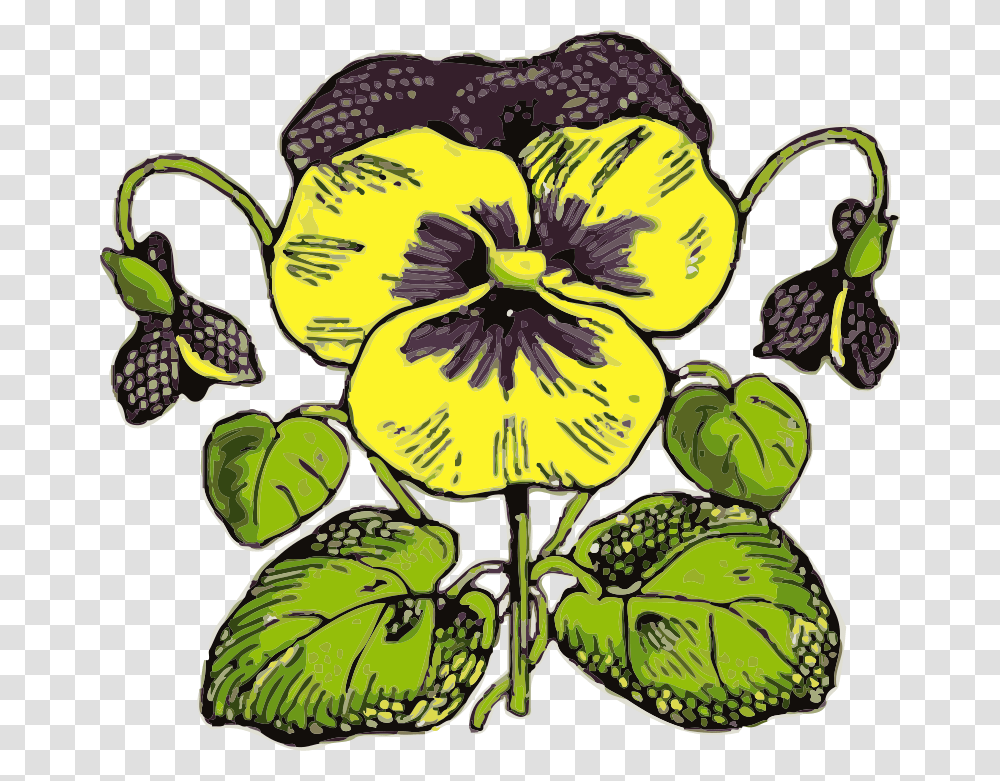Johnny Automatic Pansy, Nature, Plant, Flower, Blossom Transparent Png