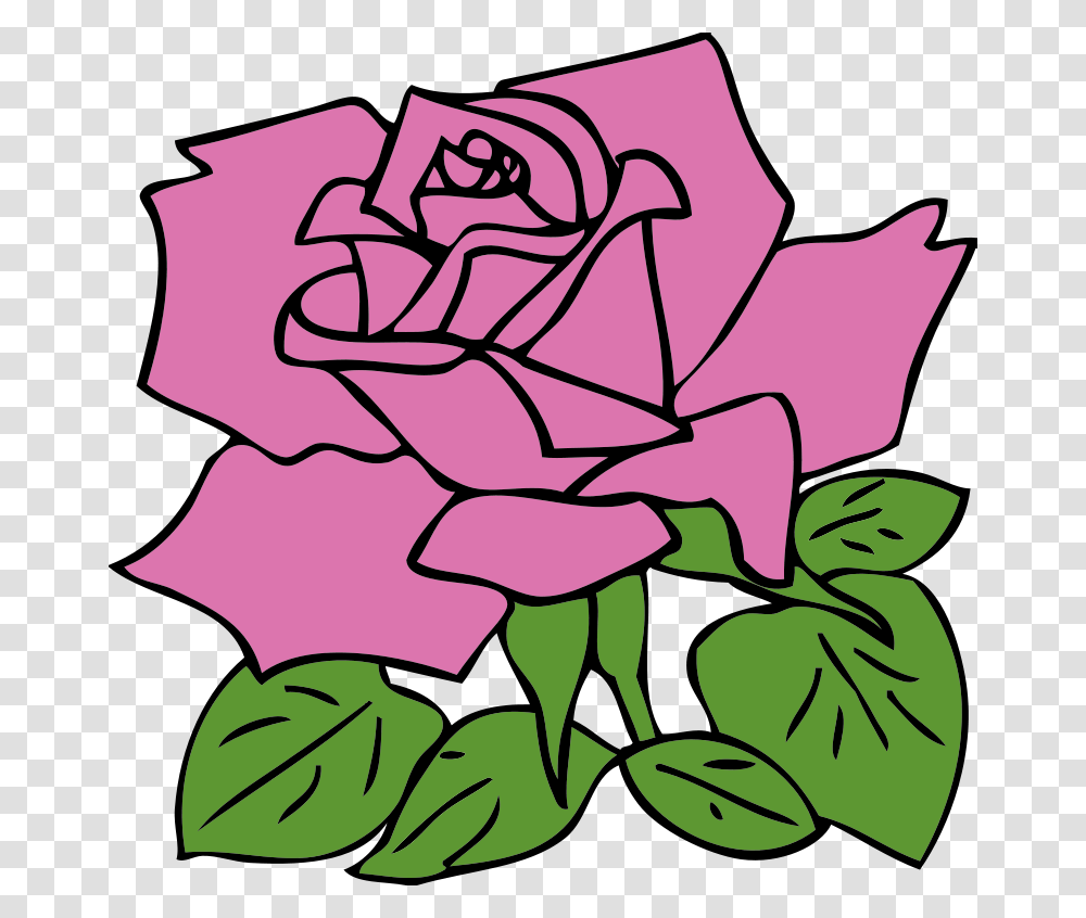 Johnny Automatic Pink Rose, Nature, Floral Design Transparent Png